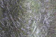 Wiseton fibreglass roof work